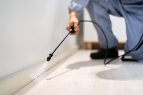 Licensed Pest Control service in Taylorville, IL - Show Me Pest Control